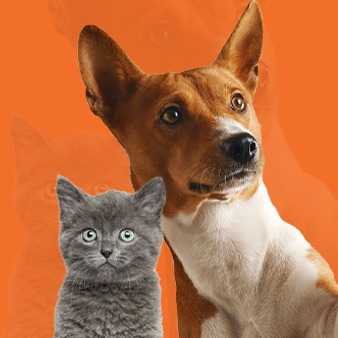 Pets - Smart Click